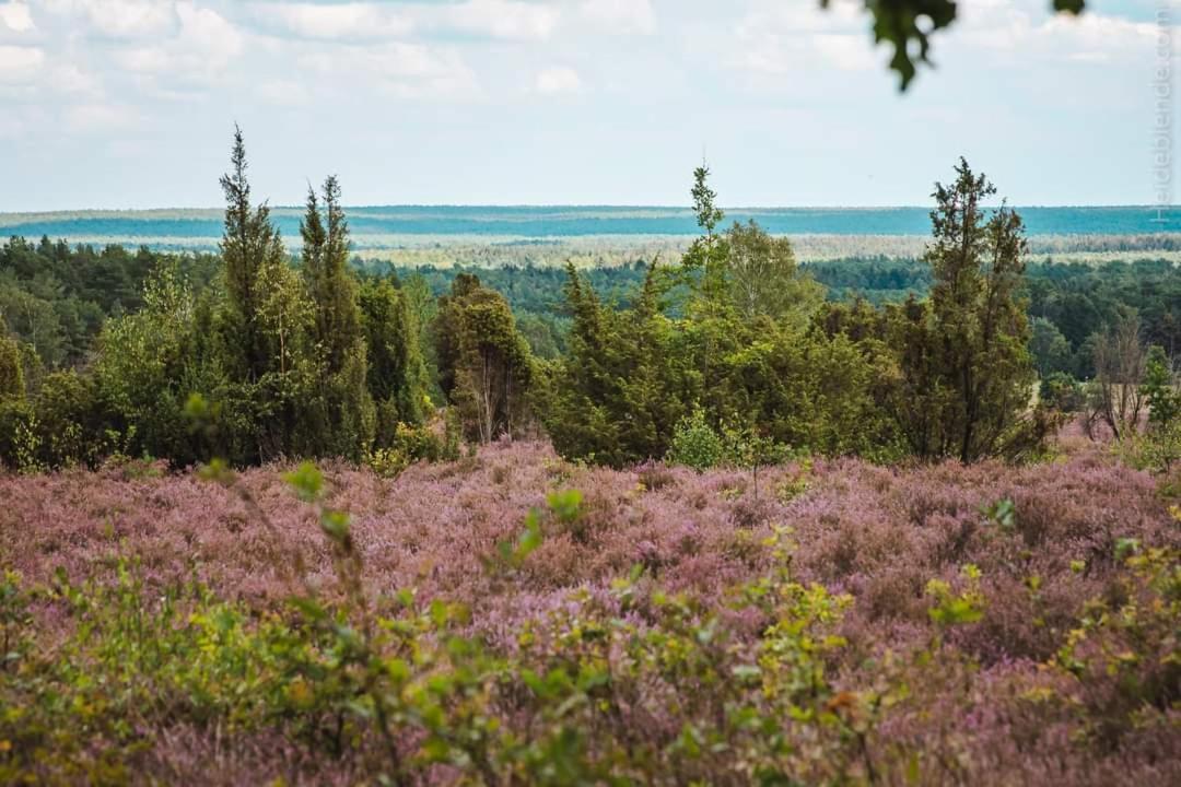 Ferienwohnung Ram 1 Hermannsburg Esterno foto